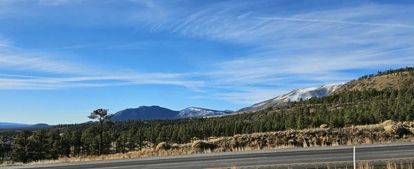 pics from my AZ trip 2026